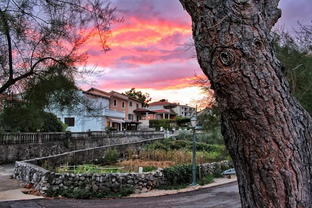 Apartments Vila Ida Vantacici Buitenkant foto